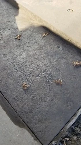 Professional Concrete Installation
